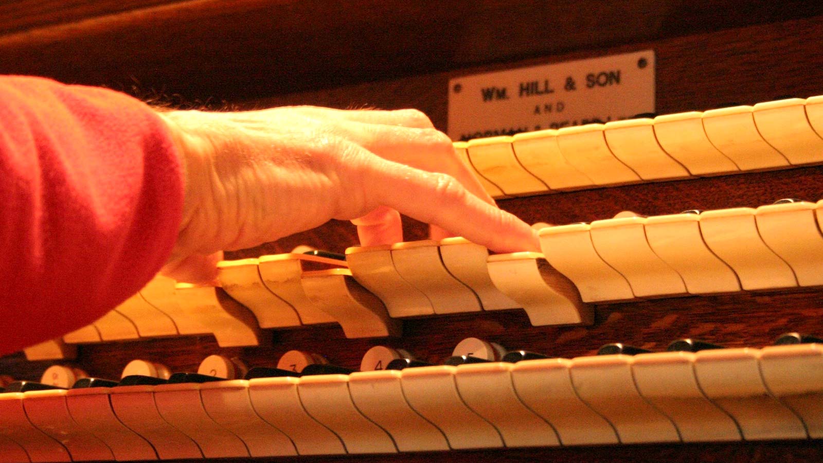 Jazz Organists A Guide to the Greats and the Rising Stars